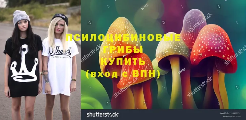 Галлюциногенные грибы MAGIC MUSHROOMS Далматово